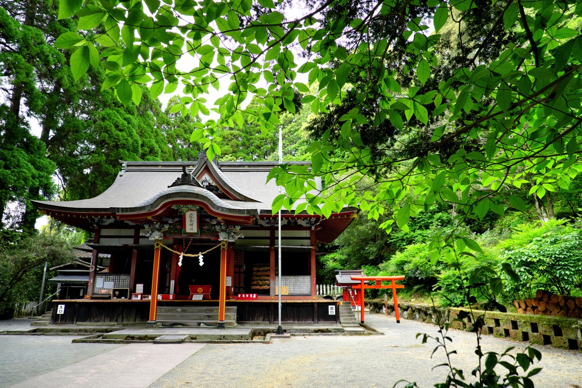 正面からの神社の写真